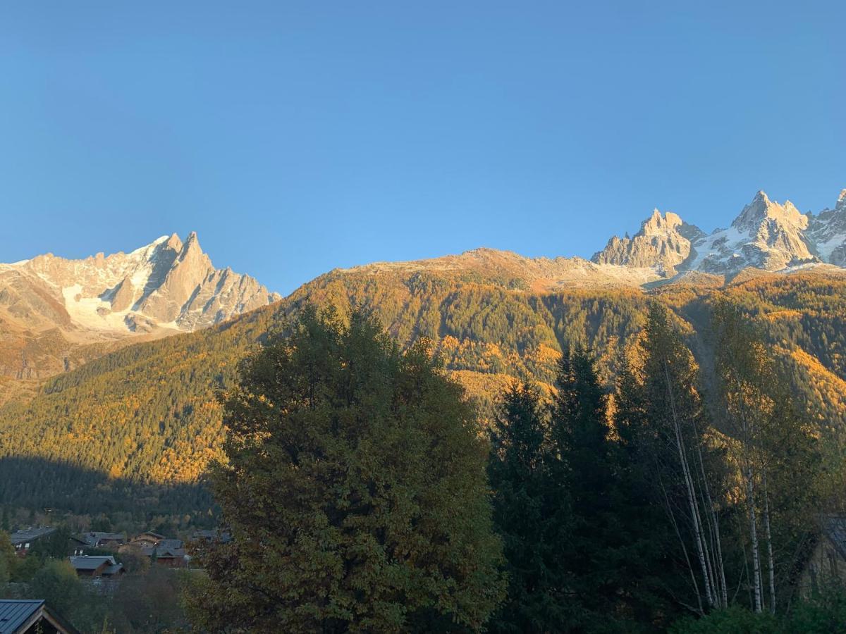 Chalet Le Point De Vue Chamonix ภายนอก รูปภาพ